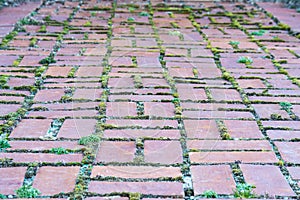 Old brick pathway background graphic