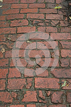 Old Brick Sidewalk