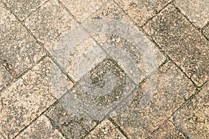 Old brick walkway texture background