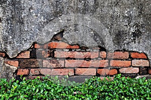 old brick wall