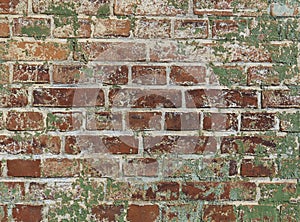 Old brick wall