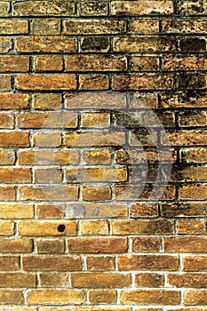 Old brick wall background