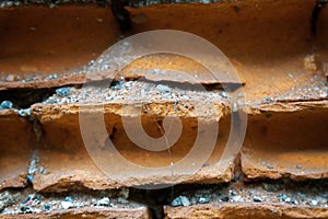 Old brick wall in a background image, good for web site or mobile devices photo