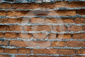 Old brick wall in a background image, good for web site or mobile devices photo