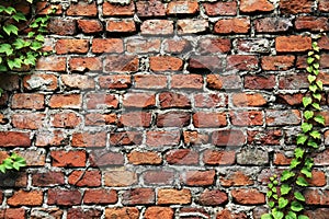 The old brick wall background, texture