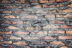 Old brick wall background or textures