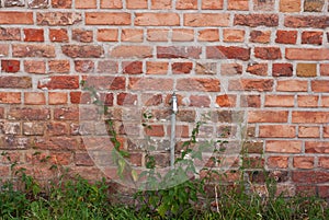 Old brick wall background and water tap