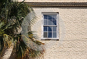Broken Window in Old Brick Wall by Pine Tree