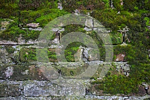 Old brick wall construction covered in green moss