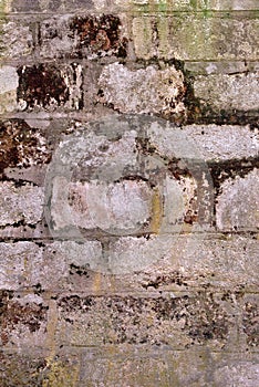 The old brick wall covered with a moss