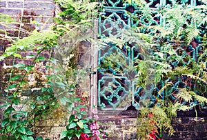 Old brick wall with flower flowers