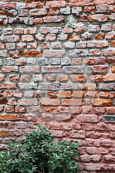 Old brick wall