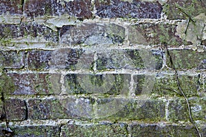 Old brick wall with mold and lichens