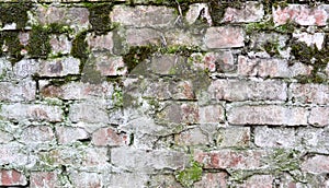 Old brick wall with moss