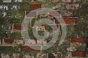 Old brick wall with moss. grunge background