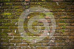 Old brick wall with mossy surface