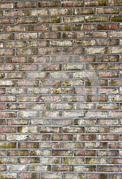 Old brick wall texture