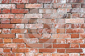 Old brick wall texture background in the garden