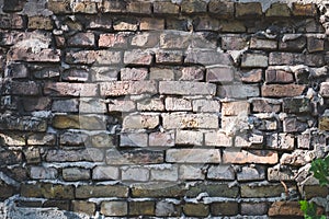 Old brick wall texture