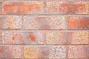 Old brick wall texture