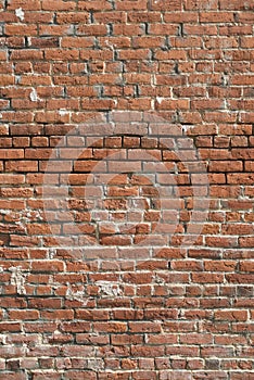 Old Brick Wall - Vertical