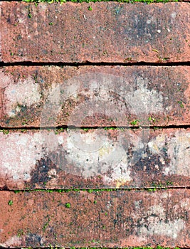 Old bricks with some moss, background texture, close up