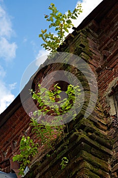 Old brickwork of the walls of an Orthodox church.