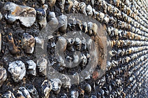 Old brickwork in Westminster, London