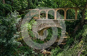 Old bridge in an abandoned garden