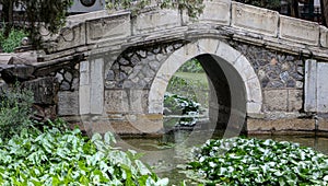 An Old Bridge in a Chinese Garden