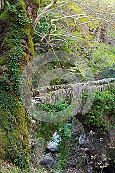 Old bridge in Greece