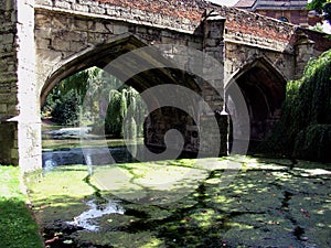 Old bridge over moat with waterplants