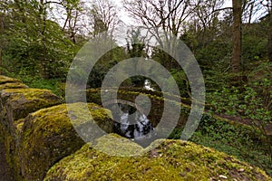 Old bridge over stream in Desmond Dene park, Newcastle, UK