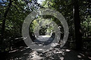 An old bridge in the park of Schloss Nymphenburg, the castle of the Nymphs.