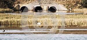 An old bridge in Port Alfred