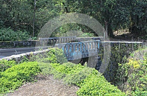 Old bridge on the road to Hana