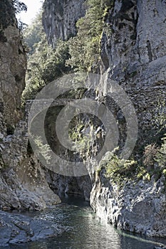 Old bridge in the Roya Valley