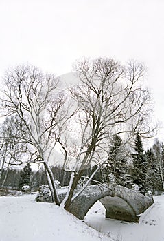 Old bridge in winter park
