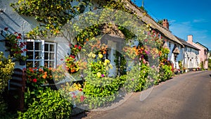 Old British cottages with flowers near Lyme Regis, Dorset, UK