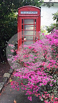 Old british red telephone box