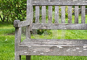 Old British wooden bench with nobody over green backyard