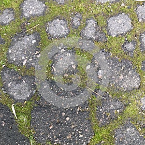 Old broken asphalt path overgrown with green dense moss. Abstraction.