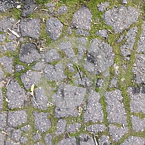 Old broken asphalt path overgrown with green moss. Natural abstract background.