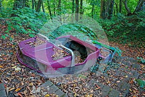 Old broken bumper cars in the middle of the forest covered with leaves and overgrown by plants