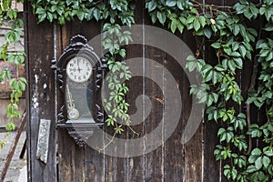 Old Broken Clock on the natural green leaf frame on wooden fence