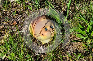 Old broken doll head in forest