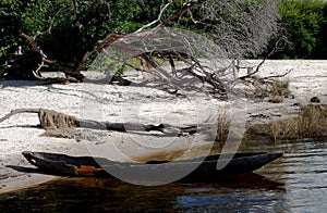 An old broken down dug-out canoe