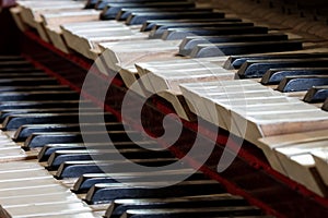 Old, broken and dusty organ keys