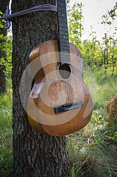 An old broken guitar tied with ropes to a tree. Decor of a cowboy party