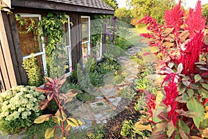 Old Broken Paver and Brick Path in Cottage Garden Flowers by Small Shed